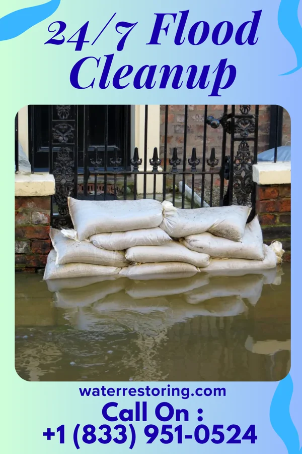 24/7 Flood Cleanup in Kenton, DE