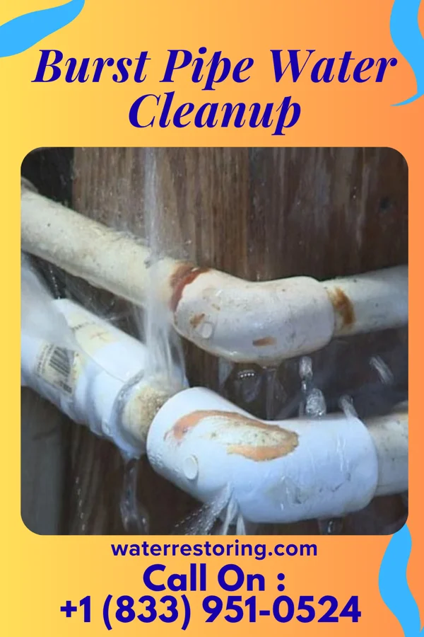 Burst Pipe Water Cleanup in Kenton, DE