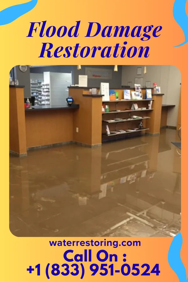 Flood Damage Restoration in Kenton, DE