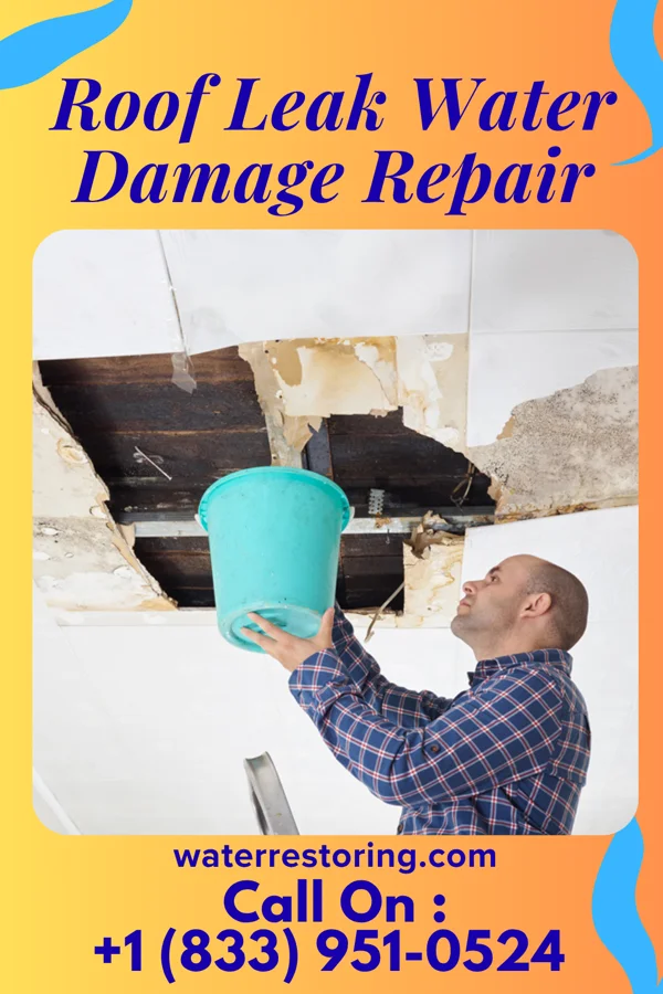 Roof Leak Water Damage Repair in Kenton, DE