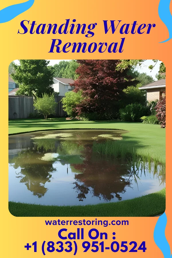 Standing Water Removal in Kenton, DE